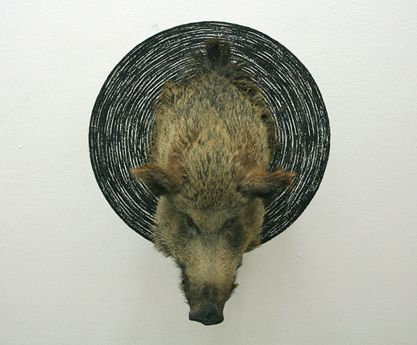 Niklas van Woerden - Zonder Titel - Everzwijn, hout, ijzer, touw, geweer en houtskool (II)