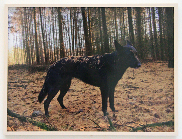 Noor Damen - Marie - 32x46cm