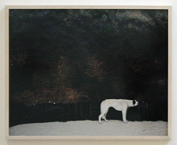 Noor Damen - Zonder Titel - 32x46cm