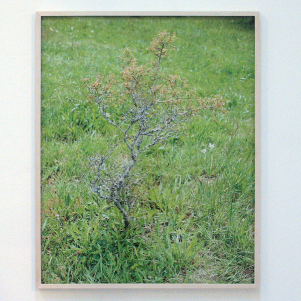 Noor Damen - Zonder Titel - 92x75cm