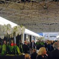 Gisteren opende de nieuwe editie van de PAN, de nationale variant van de internationale Tefaf met ook de kwaliteit en prijzen die vergelijkbaar zijn. Op de Tefaf weet je dat [&hellip;]