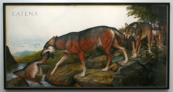 Paul Kasmin Gallery - Walton Ford Paul Kasmin Gallery - Walton Ford