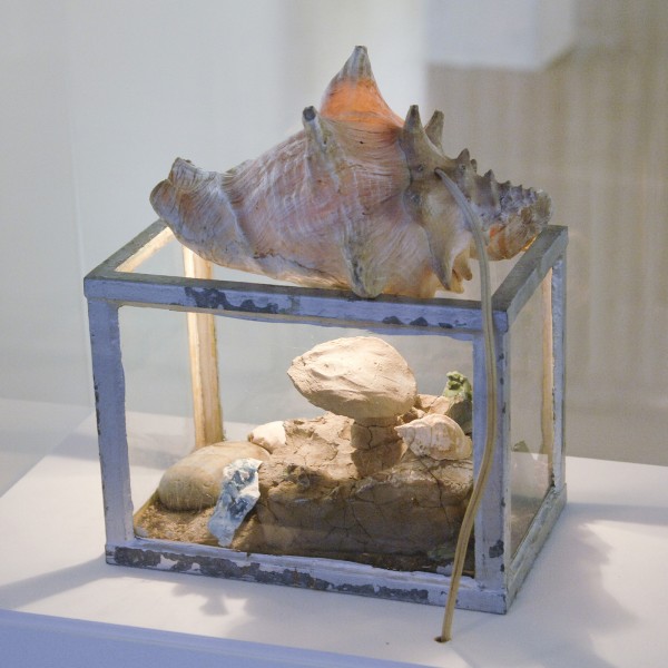 Paul Thek - Fish Tank - Metaal, glas, zand, mossels, klei, stenen en lamp, 1980