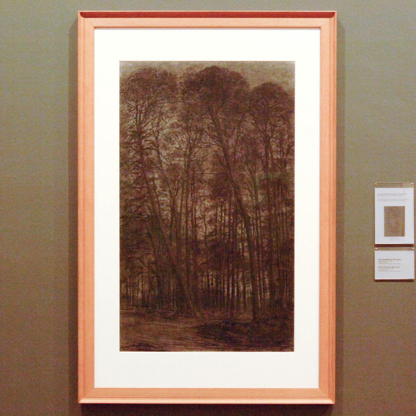 Piet Mondriaan - Dennebosch - Zwart krijt op papier 1906 (gebruikt voor compositie XIV)