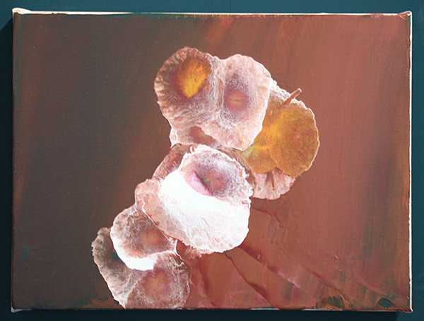 Reinoud van Vught - Geen Titel