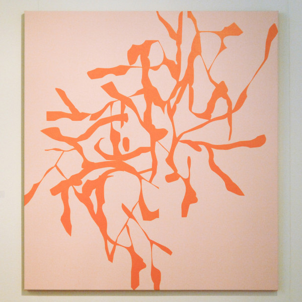 Rob De Vries - Jasper van der Graaf