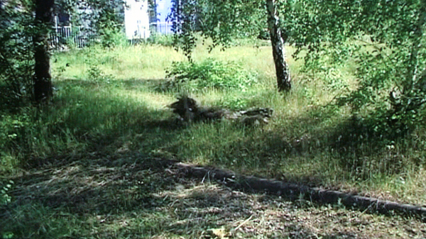 Robert van Luijk_2 Robert van Luijk