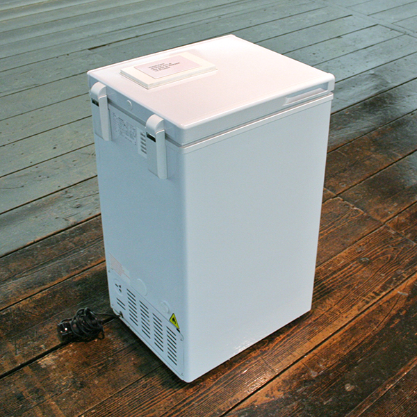 Roger Hiorns - Zonder Titel - Diepvries met een gat waar je je arm in kunst steken Roger Hiorns - Zonder Titel - Diepvries met een gat waar je je arm in kunst steken