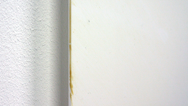 Roger Hiorns - Zonder Titel - Plastic en hersenen (detail)