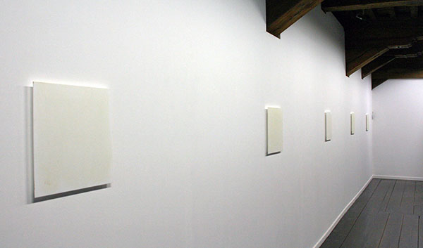 Roger Hiorns - Zonder Titel - Plastic en hersenen