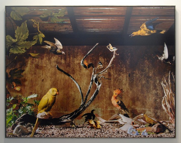 Roger Katwijk - Tessa Verder