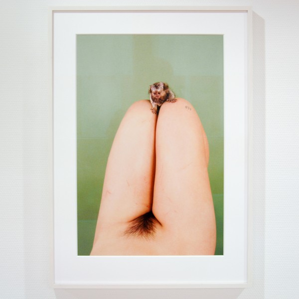Ryan McGinley - Marmoset (LSD Green) - 114x76cm C-print