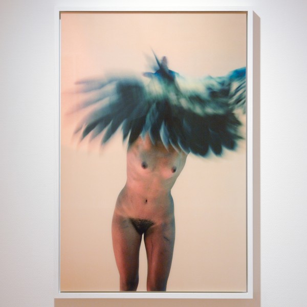 Ryan McGinley - Metamorphosis - 114x76cm C-print