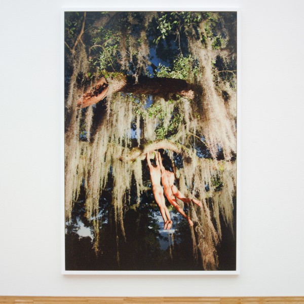 Ryan McGinley - Spanish Moss - 282x190cm C-print