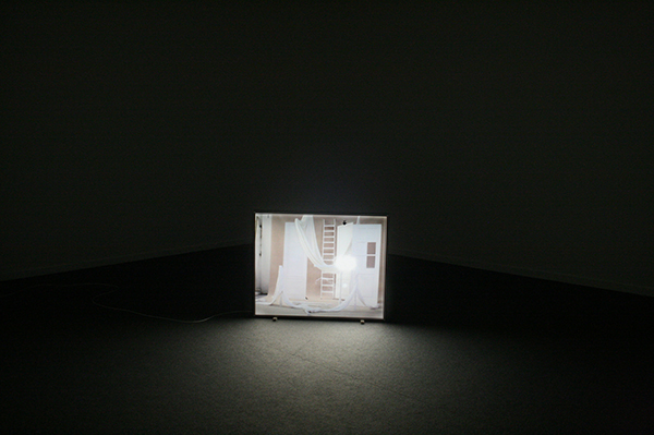 Sarah & Charles - Untitled (Lightbox) - 100x125cm Lichtbox en dia