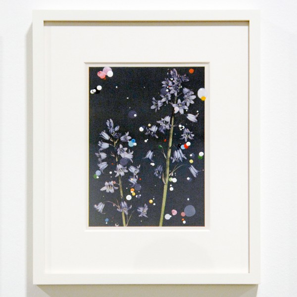 Sebastiaan Bremer - Bloemen Series - Ieder 13x18cm, 21 delen Beschilderde pagina's van bloemen boek (detail)