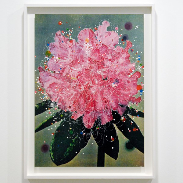 Sebastiaan Bremer - Rhododendron Hybridum Queen Mary - 60x84cm Beschilderde digitale print