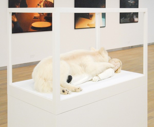 Silvia B - Andrew & Anubis - Gemengde techniek, 2008