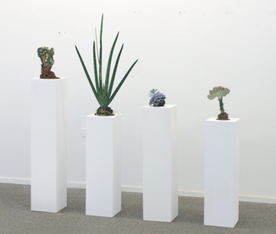 Simon Kentgens - Plant B