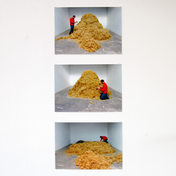 Sven Sachsalber - Die Nadel im Heuhafen - 3 foto's