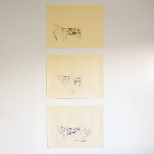 Sven Sachsalber - Milka Cow - 50x65cm Potlood en kleurpotlood op papier, serie van drie