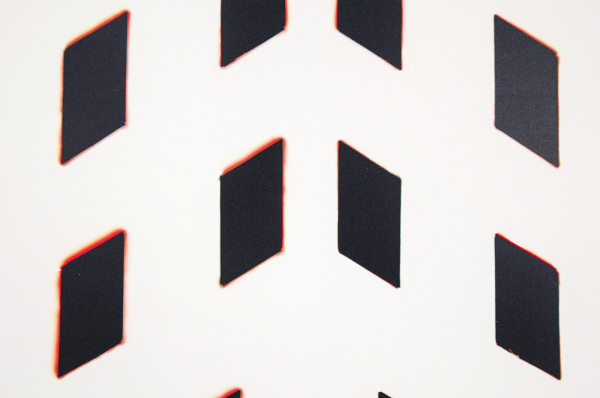 Tanya Long - Cranbrook Estate II - 51x41cm Unieke analoge C-Print (detail)