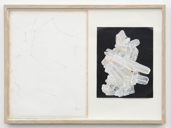 Tegenboschvanvreden - Dieuwke Spaans