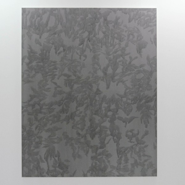 Tegenboschvanvreden - Evi Vingerling