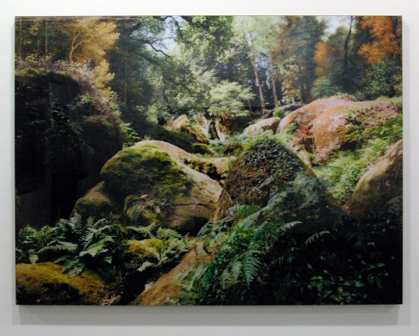 Tessa Verder - Blaue Blume 2 - 120x161cm Foto collage op dibond