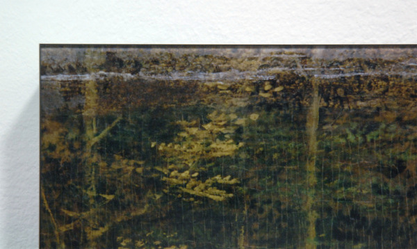 Tessa Verder - Blaue Blume 2 - 120x161cm Foto collage op dibond (detail)