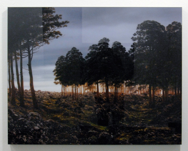 Tessa Verder - Day 14 - 85x108cm Foto collage op dibond