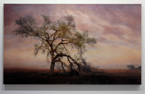 Tessa Verder - Day 18 - 100x170cm Foto collage op dibond