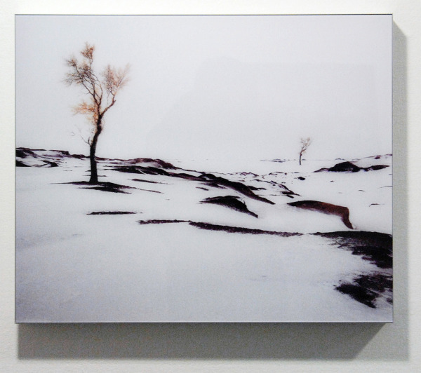 Tessa Verder - Day 20 - 45x66cm Foto collage op dibond