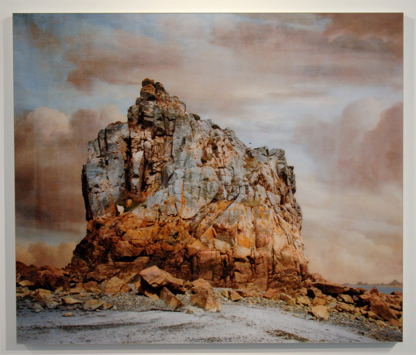 Tesse Verder - Blaue Blume 3 - 125x146cm Foto collage op dibond