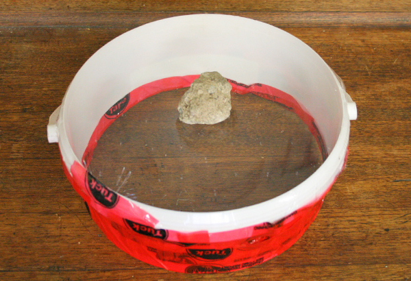 The Arbour Lake School _ The Arbour Lake School