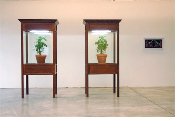 Tony Romano - Trial of Judas With Constant Reference to Dorothy Retallack