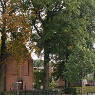 Soms is context alles, zonder notie van het voorafgaande, de geschiedenis, is er van het werk simpelweg niets te begrijpen. Zo was ik gisteren naar Zundert om daar te kijken [&hellip;]