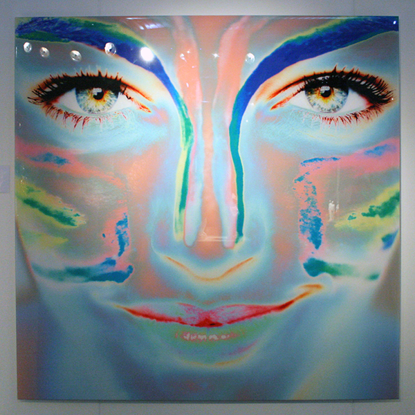 Van Loon Galleries - Frank van Driel