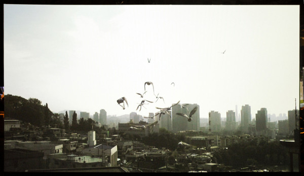 Van Zijll Langhout - Yang Ah Ham - Bird's Eye View - 10minuten Single channel HR Highspeed video