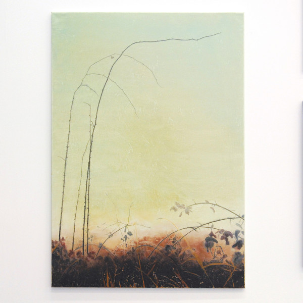 Willem Sanders - Bormida Landscape 03 - 200x140cm Olieverf op linnen 2013