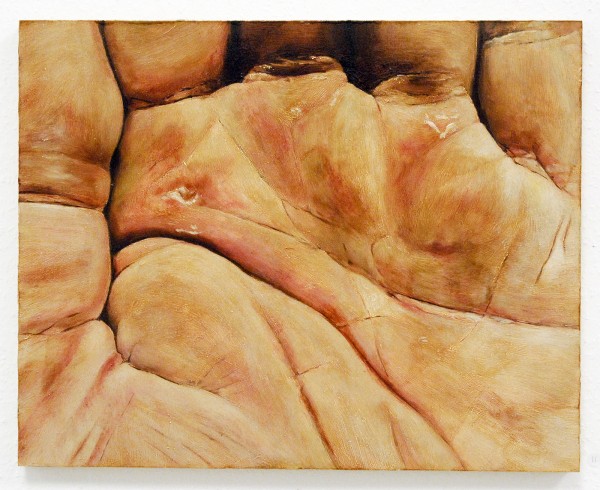 Willem Sanders - The Hand of the Artist after Gardening #07 - 40x50cm Olieverf op MDF