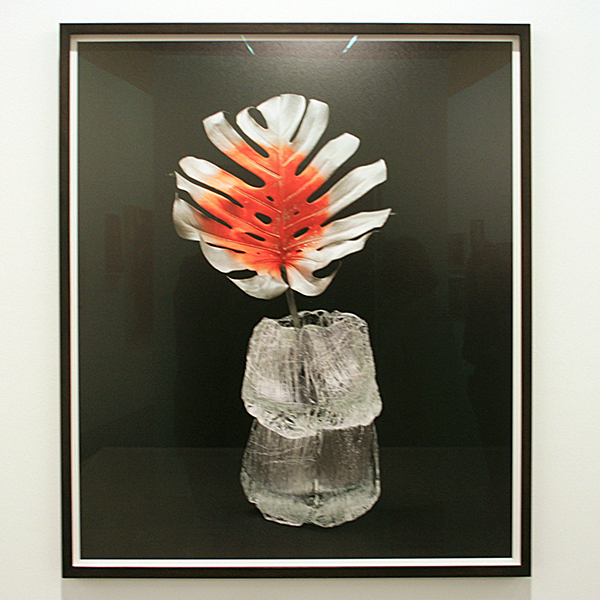 Wim van Krimpen - Holger Niehaus