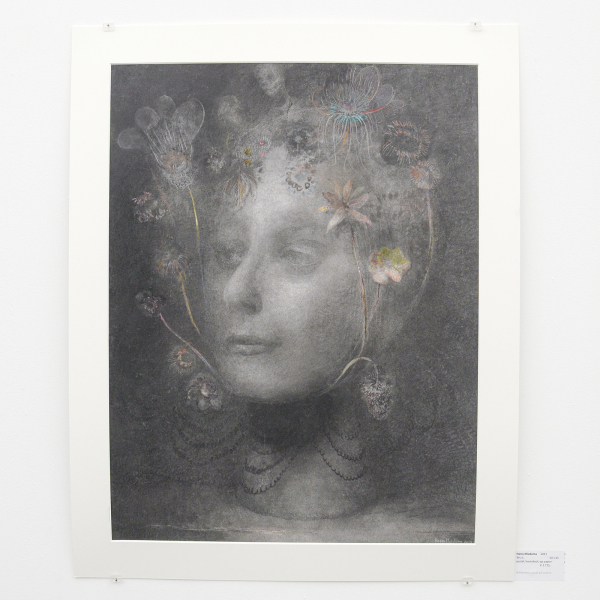 Witteveen - Harry Miedema