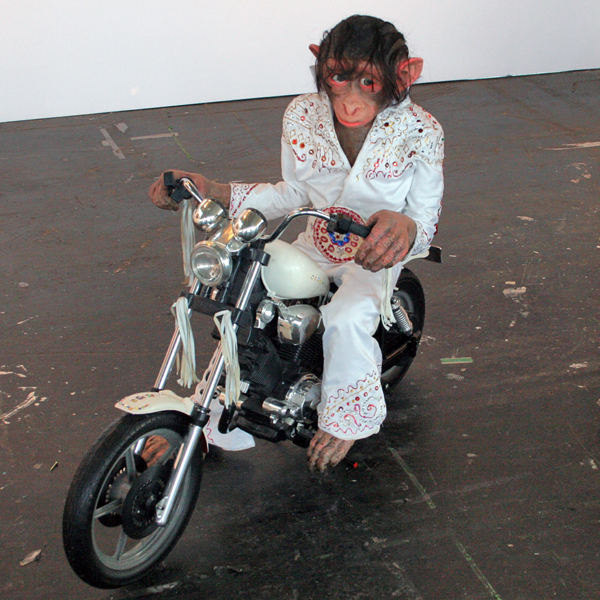 Witzenhausen - Mitsy Groenendijk Witzenhausen - Mitsy Groenendijk