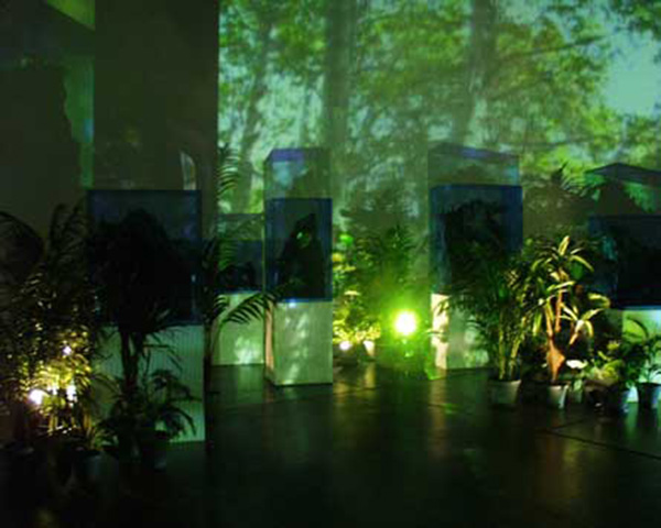 Won Ju Lim - Ruined Traces