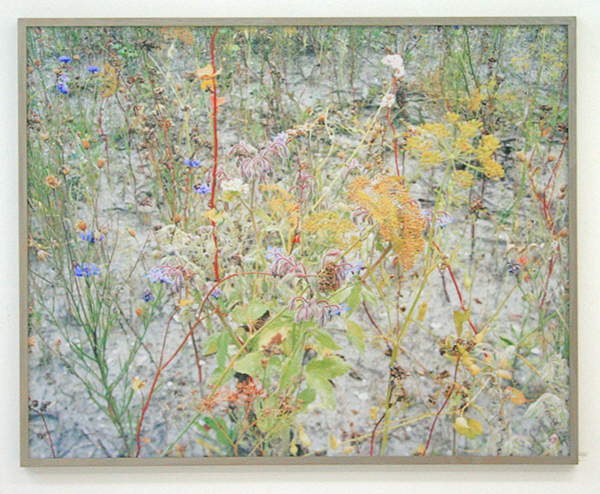 Wout Berger - Ruigoord #3 - 80x100cm