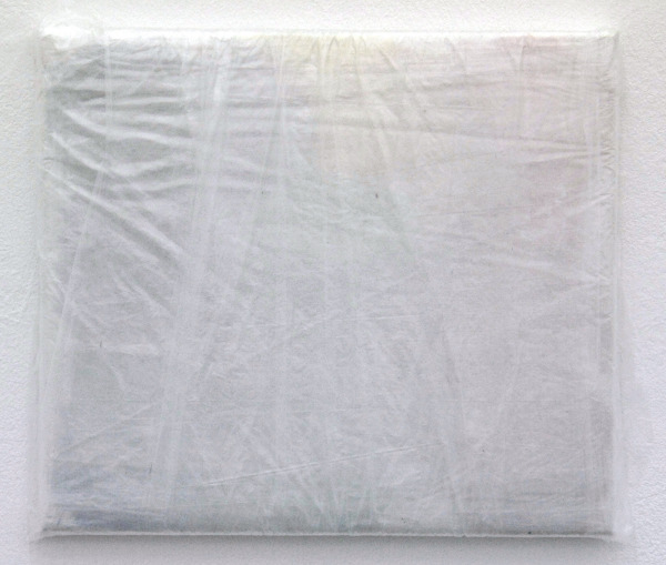 Zeli Bauwens - A Vague Dieleman